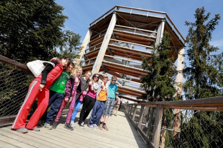 stezka-korunami-stromu-lipno